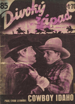 Cowboy Idaho