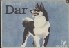 Dar
