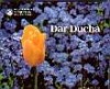 Dar Ducha