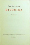 Divočina