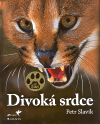 Divoká srdce