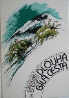 Dlouhá bílá cesta