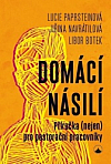 Domácí násilí