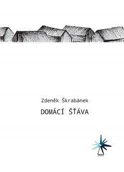 Domácí šťáva