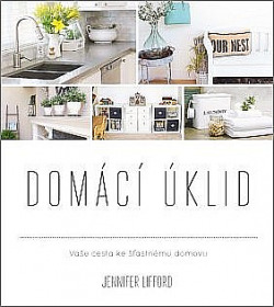 Domácí úklid