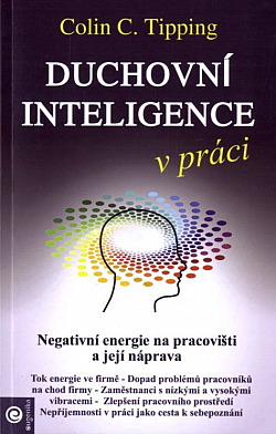 Duchovní inteligence v práci