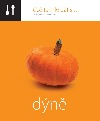Dýně