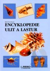 Encyklopedie ulit a lastur