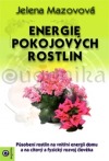 Energie pokojových rostlin