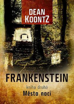 Město noci