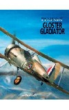 Gloster Gladiator