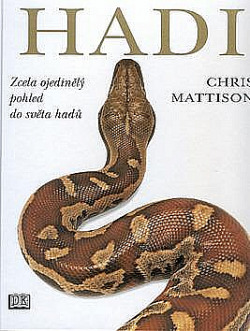 Hadi