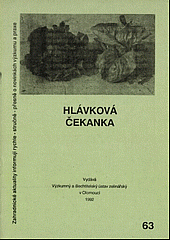 Hlávková čekanka