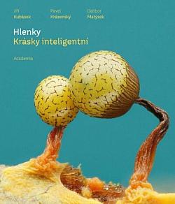 Hlenky: Krásky inteligentní
