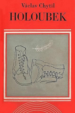 Holoubek