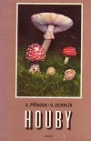 Houby