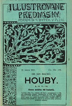 Houby
