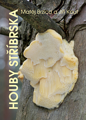 Houby Stříbrska