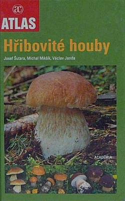 Hřibovité houby