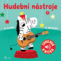 Hudební nástroje 1