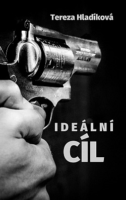 Ideální cíl