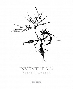 Inventura 37