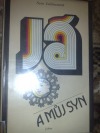 Já a můj syn
