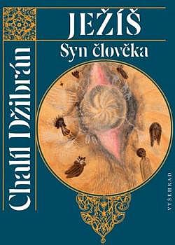 Ježíš, Syn člověka