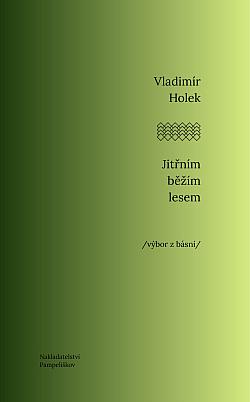 Jitřním běžím lesem