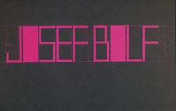 Josef Bolf – monografie