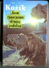 Jsem vánočnímu stromu podoben