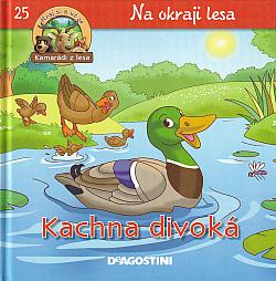 Kachna divoká