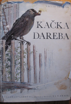 Kačka Dareba