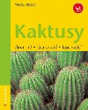 Kaktusy