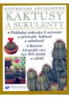 Kaktusy a sukulenty