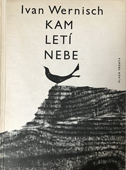 Kam letí nebe