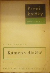 Kámen v dlažbě
