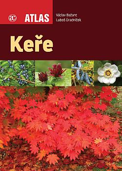 Keře