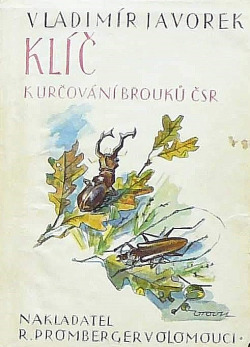 Klíč k určování brouků