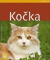Kočka