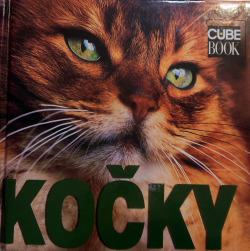 Kočky