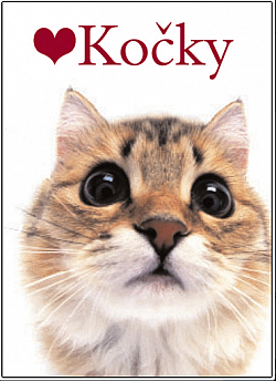 Kočky
