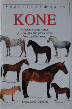 Kone