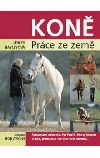 Koně - Práce ze země