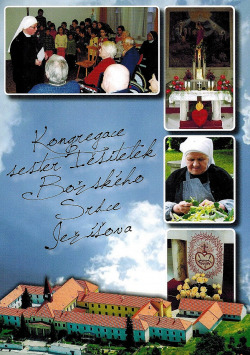 Kongregace sester Těšitelek Božského Srdce Ježíšova