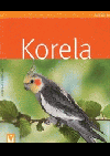 Korela