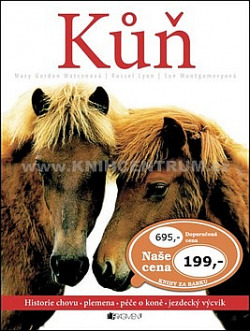 Kůň