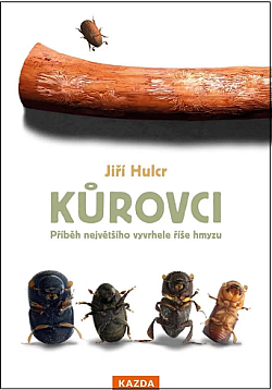 Kůrovci