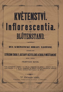 Květenství