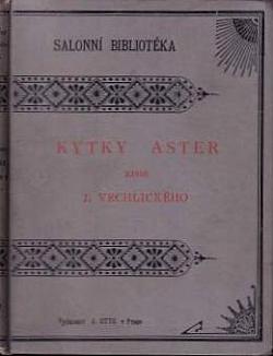 Kytky aster